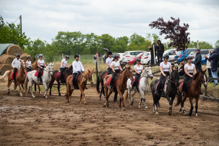 Kapitány lovasiskola Debrecen lovagoltatás felestartás sétalovaglás tereplovaglás