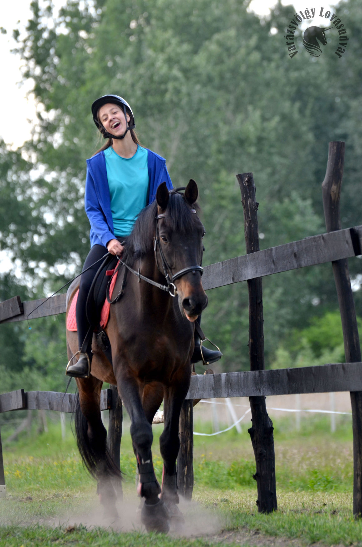 Debecen horse rideing school 