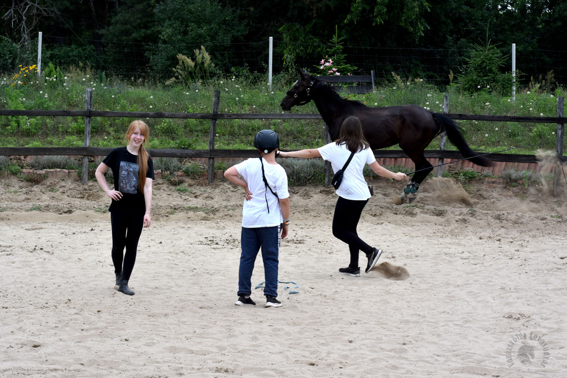Debrecen lovas továbbképzés kurzus oktatás