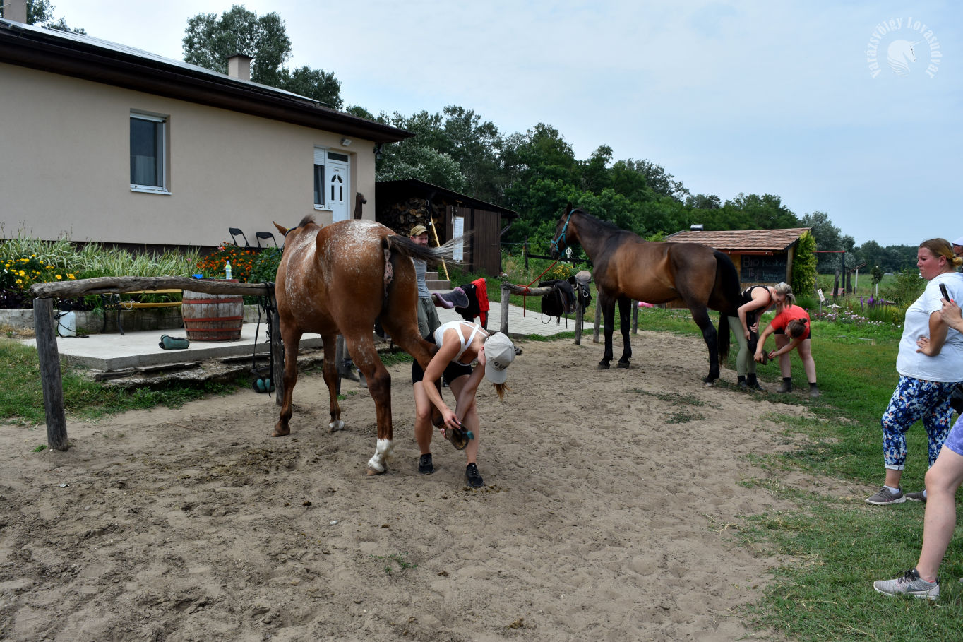 Debrecen tereplovaglás túralovaglás lovas élmény kikapcsolódás