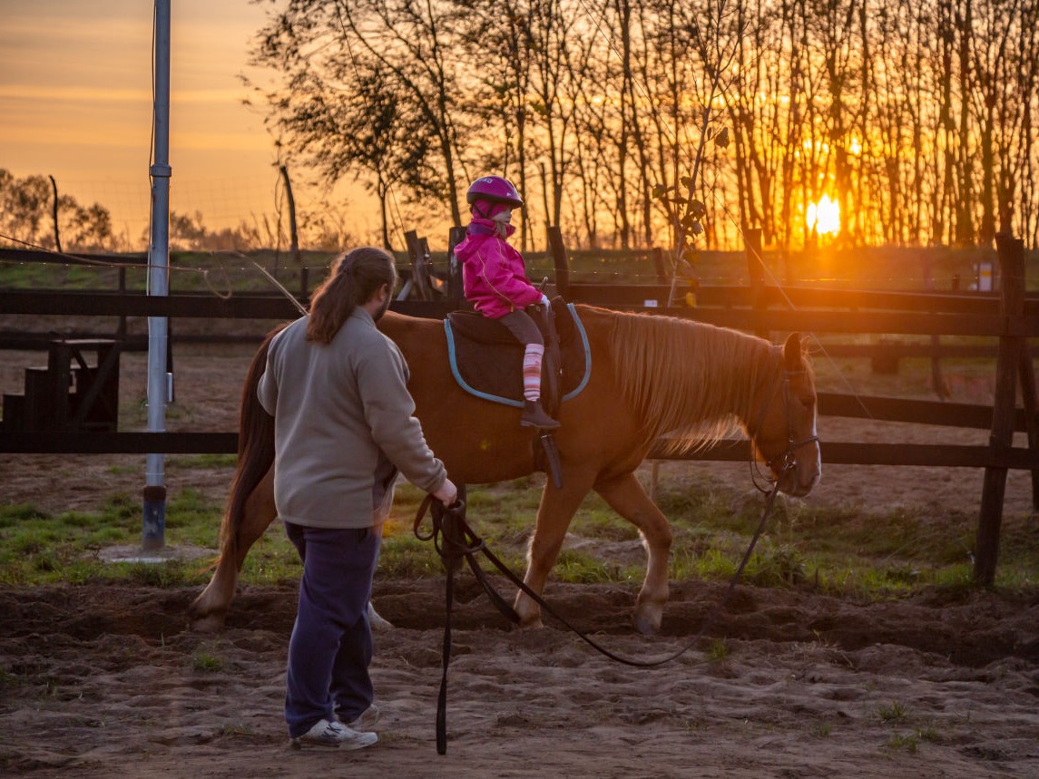 Debecen horse rideing school 